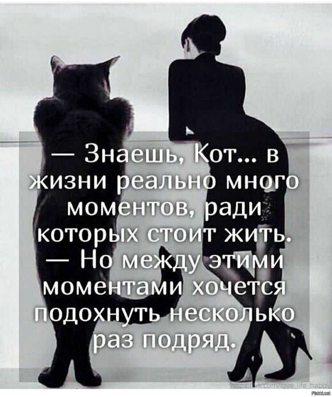 Этот момент какие у нее. Вот с этого места поподробней мем. Этот момент какие у нее. Этот момент какие у нее. Когда твой парень.