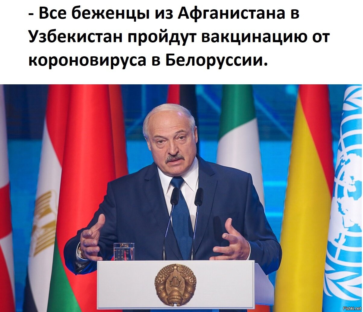 Политик беларуси. Беларусь политика. Лукашенко обращение. Беларусь политик. Картинки белорусских политиков.