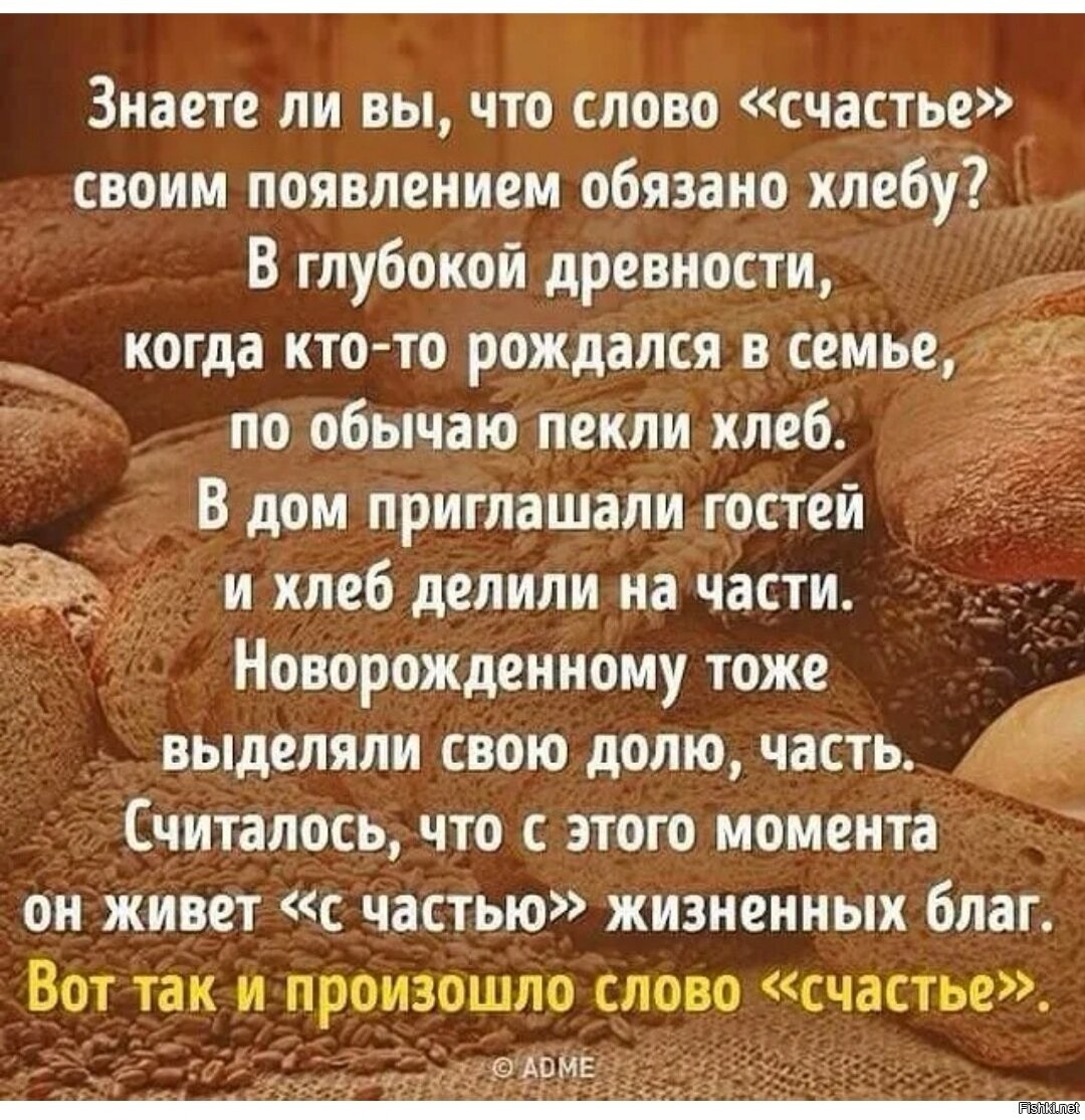 Высказывания о хлебе