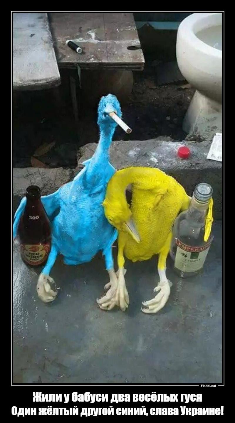 один желтый другой синий. три бананогуся. желтый и синий гуси. слава украине. жили у бабуси 2 веселых гуся.