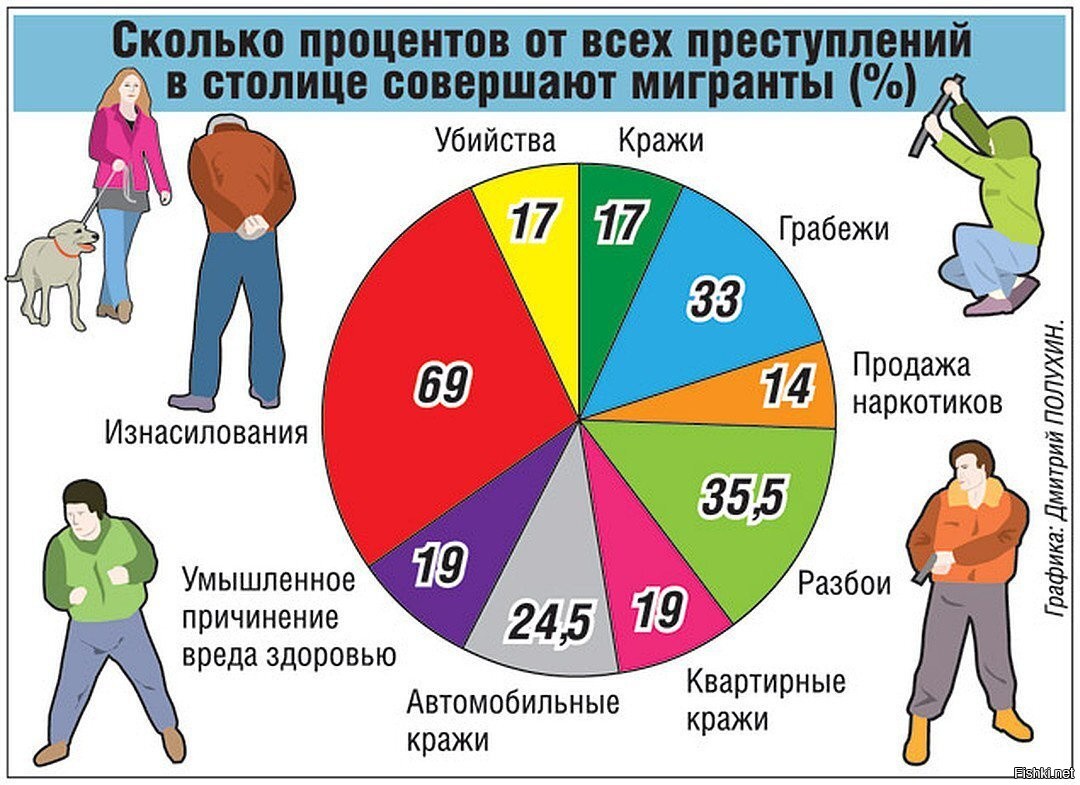 Сколько процентов людей. Сколько преступлений совершают мигранты в России статистика. Статистика преступлений мигрантов. Статистика преступлений мигрантов в России. Сколько преступлений совершают мигранты в России.