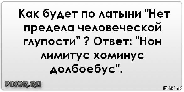 Образец глупости 4 буквы