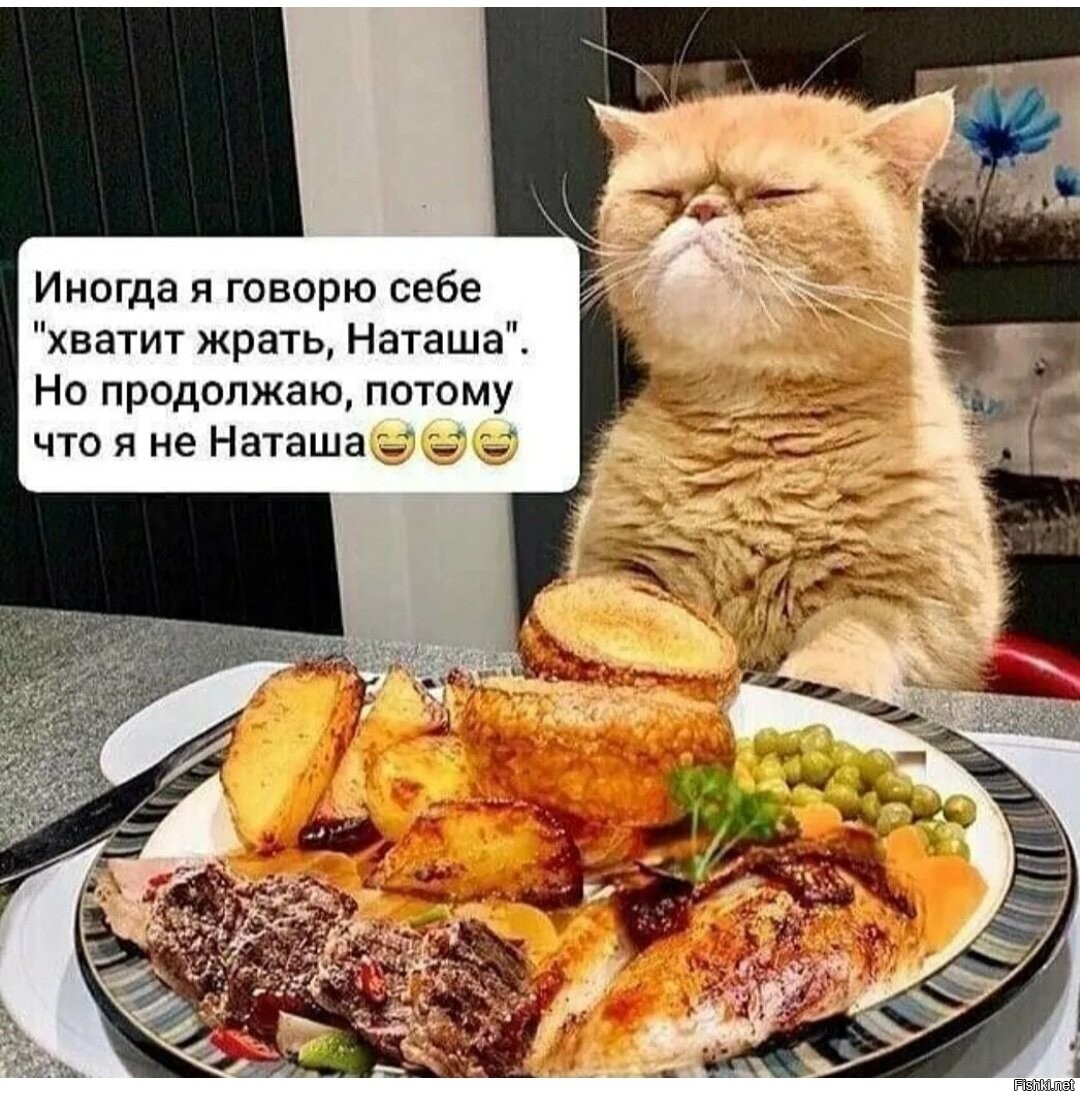 Ну кушать хочешь