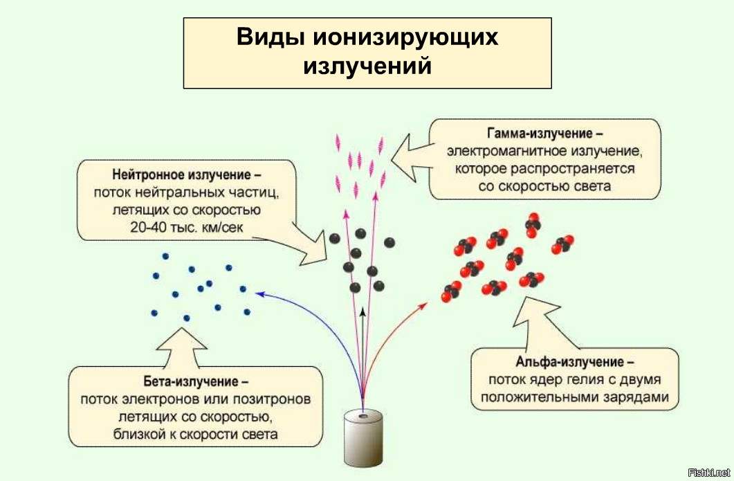 Дополните схему отражающую состав ионизирующего излучения