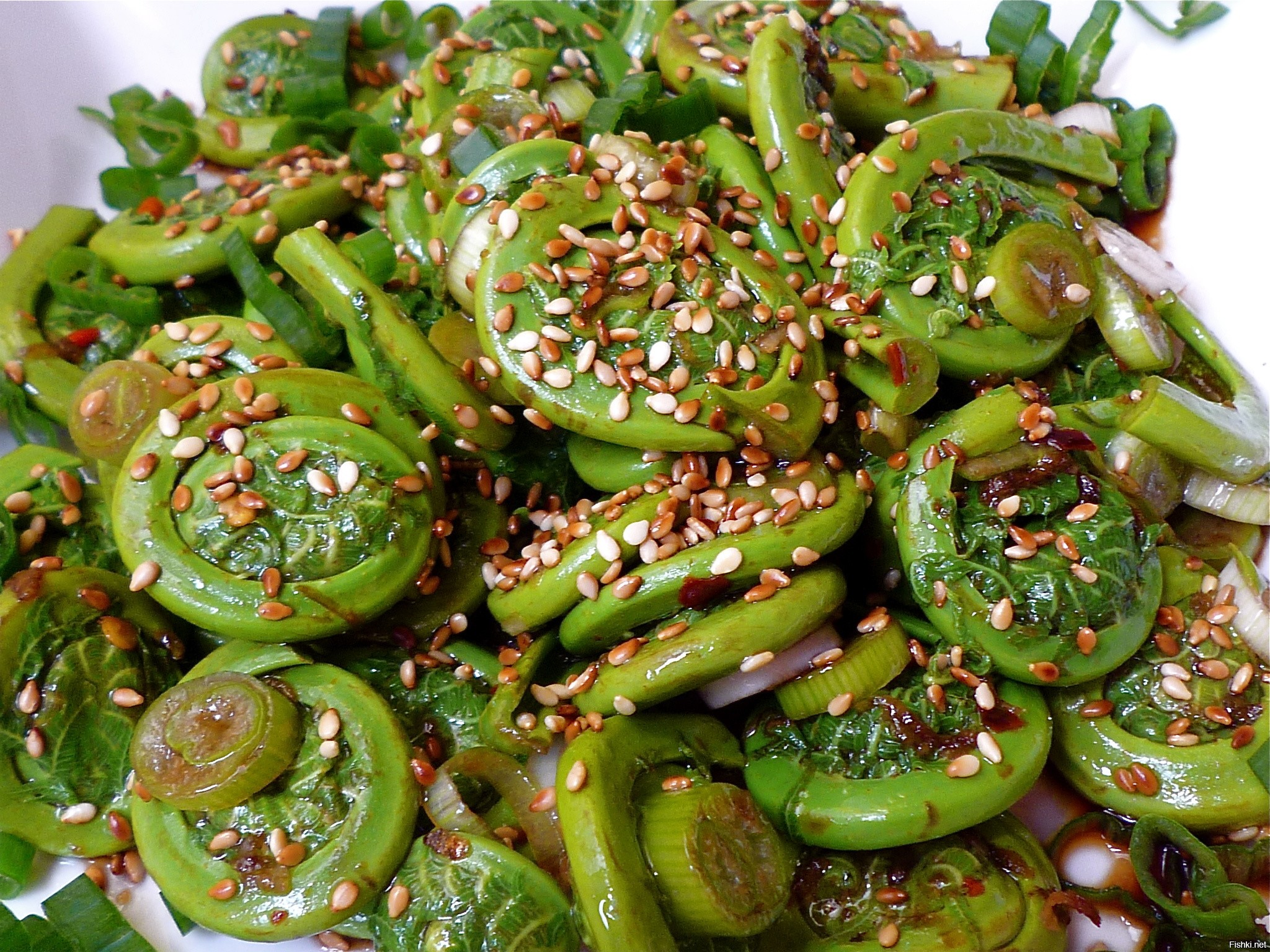 Папоротник рецепты. Fiddleheads. Папоротник блюдо. Блюда из папоротника. Папоротник закуска.