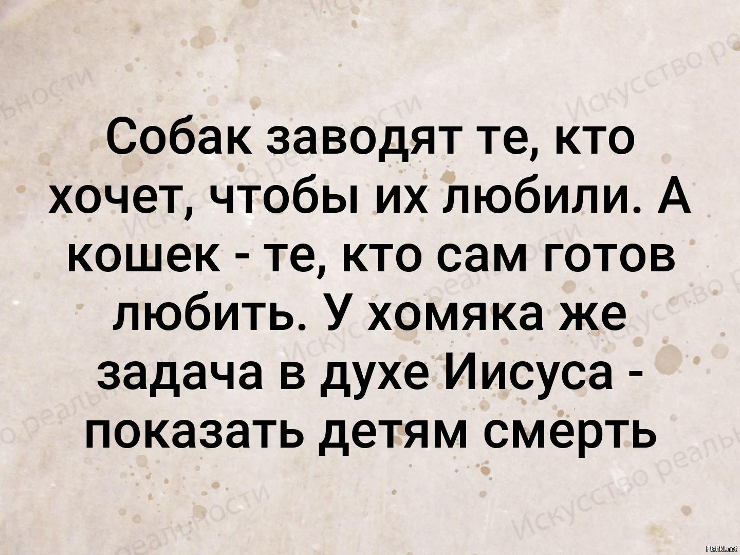 Сама готова. Собак заводят те кто хочет чтобы их любили а кошек. Те кто хочет ч о ьы их любили собак заводят. Хомяк показать детям смерть. Хомяк нужен чтобы показать детям смерть.